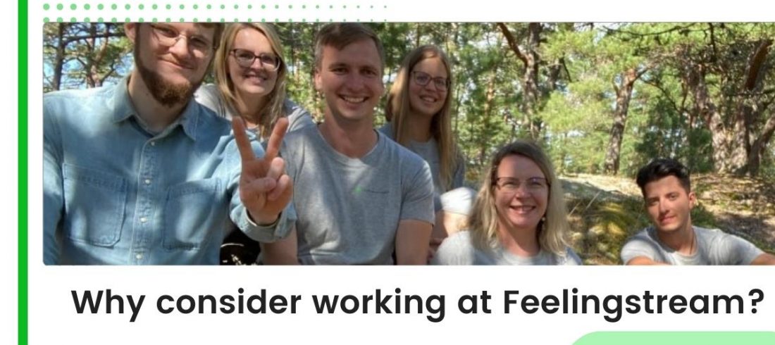 Feelingstream blog post TEAM Why consider working at Feelingstream?