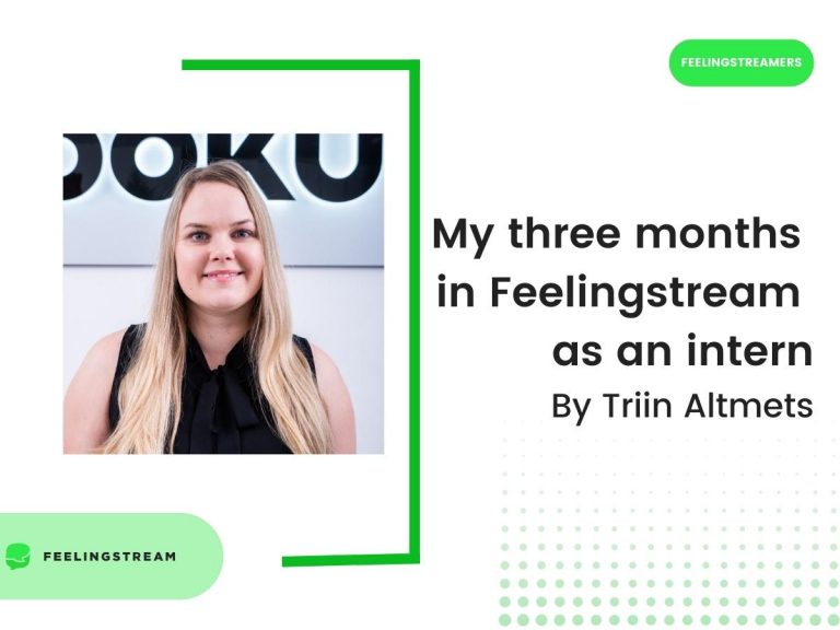 My three months in Feelingstream as an intern, by Triin Altmets