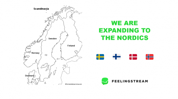 Scandinavian market Feelingstream Scandinavian market Feelingstream